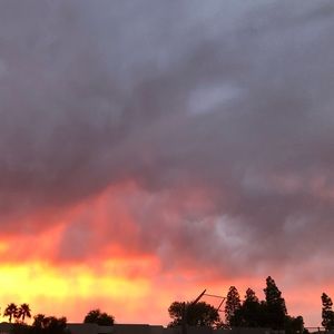 Meet your Posher, Ella